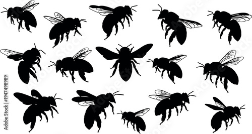 Collection of black fly silhouettes on white background