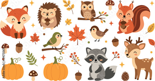 Cute woodland animals and autumn forest elements collection with fox, deer, raccoon and pumpkin illustration set