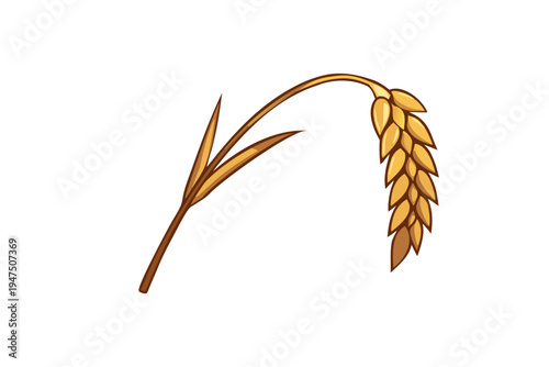 Single Golden Wheat Ear Illustration Isolated on White Background