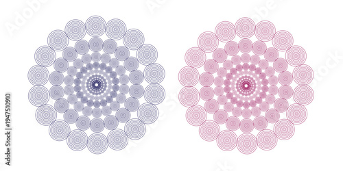 Abstract pink and white floral mandala ornament background vector design