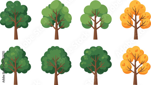 Flat vector illustration collection of various green summer and yellow autumn trees, forest plant icons set with different leaf shapes isolated on white background