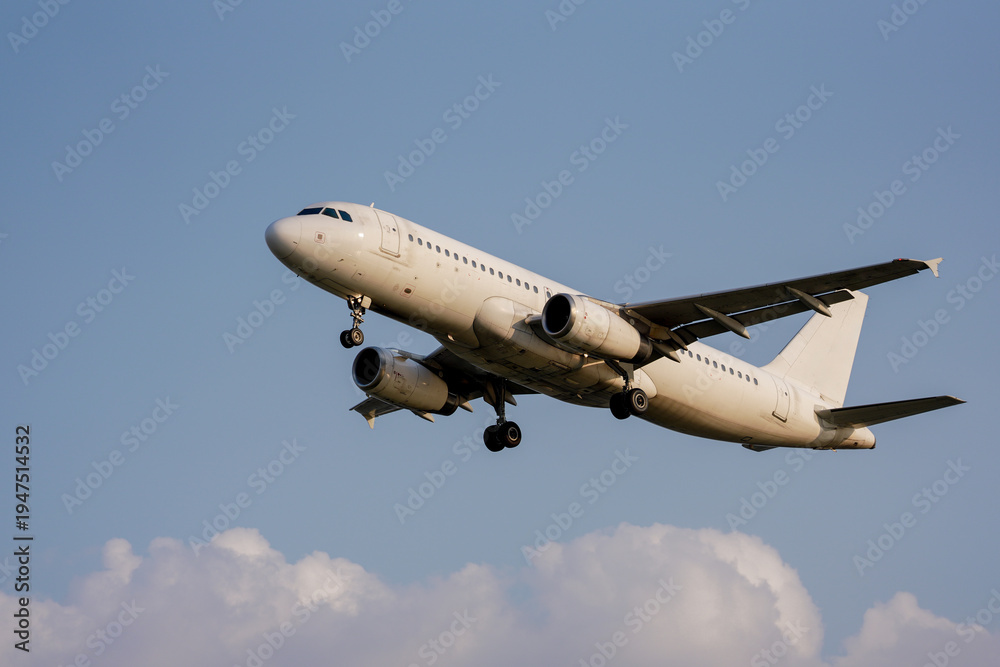 Fototapeta premium airplane in flight