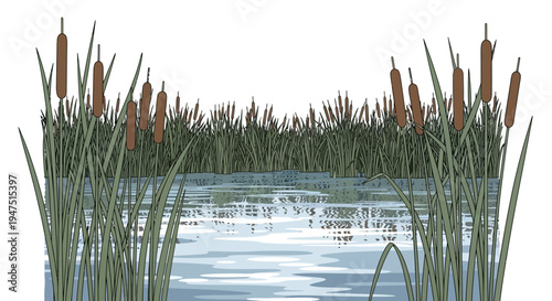 Illustration of a serene wetland ecosystem with cattails and water, symbolizing wetland conservation on World Wetlands Day.