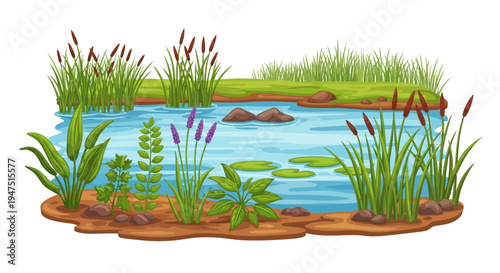Vector illustration of a wetland ecosystem with plants, water, and a serene natural setting for World Wetlands Day, promoting conservation and environmental awareness.