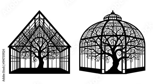 Comparative architectural designs of greenhouse and conservatory structures with trees inside. Vector, illustration
