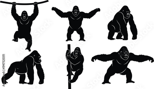 Gorilla silhouette vector illustration, wildlife animal artwork collection, climbing standing hanging gorilla poses, jungle nature design, black and white primate themed art