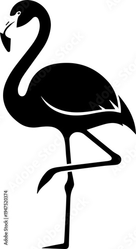 flamingo silhouette BIRD