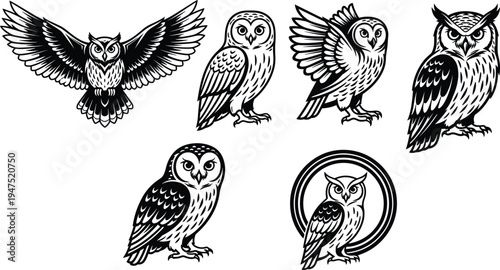 Owl silhouette vector illustration, wildlife bird artwork collection, flying perched owl designs, forest nature themed artwork, black and white decorative art set