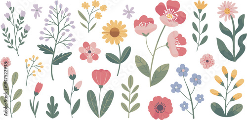 Collection of hand drawn wildflowers and leaves on white background Keywords: flower, floral, botanical, nature, spring, summer