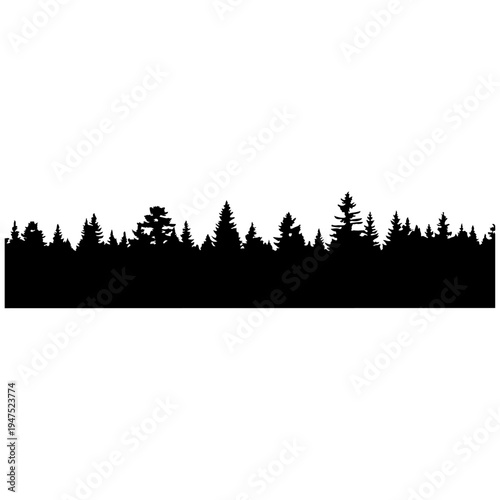 A black silhouette of coniferous trees on a white background isolated on transparent background, Vector