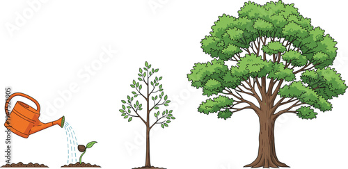 Vector illustration showing the growth stages of a tree from watering a small seedling to a young sapling and a mature leafy oak.