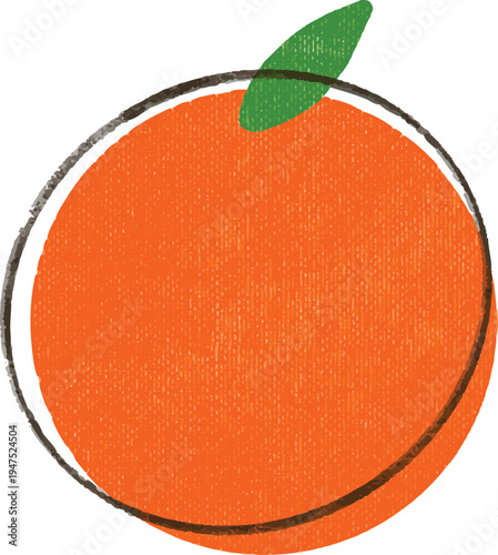 vector illustration of an orange fruit