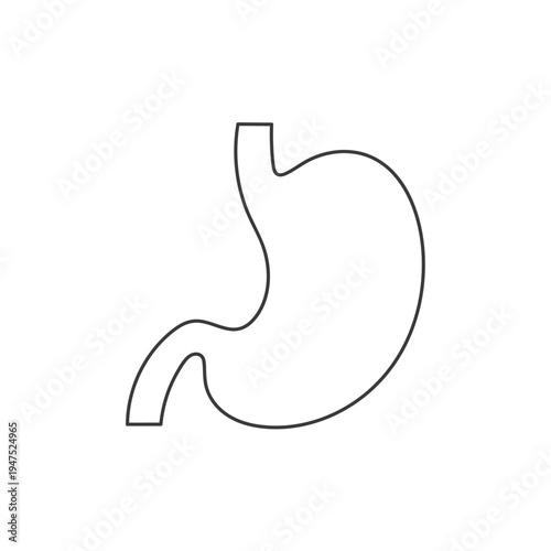 Human stomach. A simple anatomical illustration, hand-drawn in a linear style.