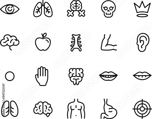 Human body organs line icons set, anatomy symbols brain lungs skull stomach eye ear vector illustration collection