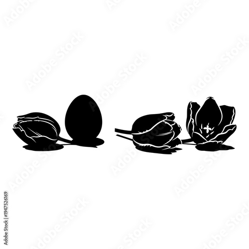 The stages of an artichoke from bud to bloom and seed development Vector, illustration