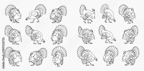 Set of cartoon turkey line art drawings in various poses, perfect for Thanksgiving designs and farm animal illustrations.