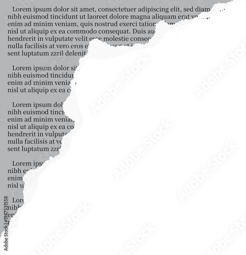 Ripped Paper Edge With Old Journal Look