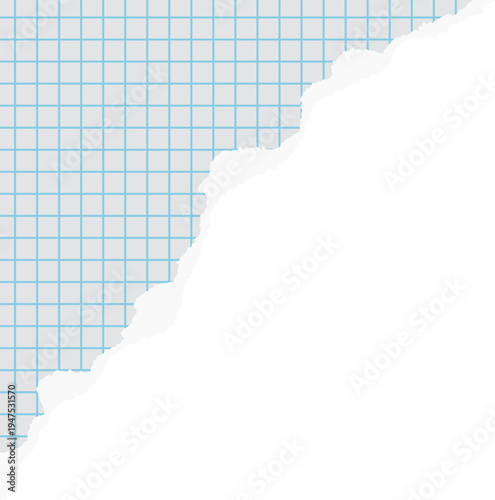 Torn Paper Scrap For Creative Layout Design