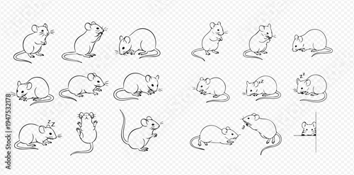 Set of hand-drawn mice in various poses, line art illustration of small rodents, cute animal sketches.