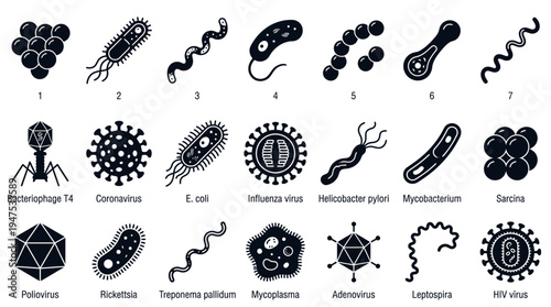 Comprehensive Microorganism Vector Icon Set featuring Pathogenic Bacteria and Viruses including Coronavirus, E. coli, and HIV