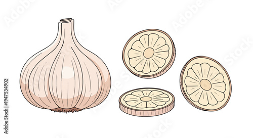 Illustration of a whole onion and three slices on a white background with a simple line drawing style and earthy tones.