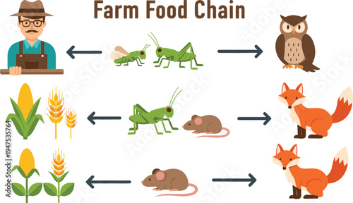 Illustration of the farm food chain, showing the relationships between plants, insects, animals, and a farmer