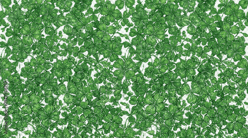 Detailed green clover leaves seamless pattern on white background for design