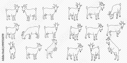 Set of black and white line art illustrations of goats in various poses, depicting different farm animals.