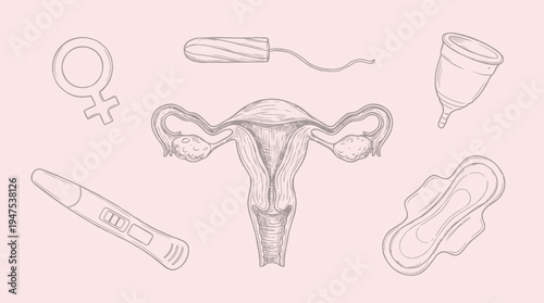 Female Reproductive Health and Menstrual Hygiene Icons Illustration with Uterus, Tampon, Menstrual Cup, and Pregnancy Test