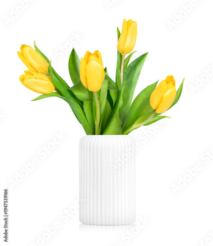 yellow tulips in a white vase on a white isolated background