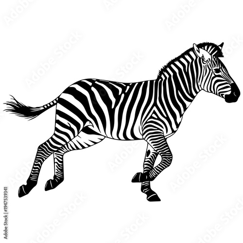 Running Zebra Silhouette, Black and White Stripes, Dynamic Motion, African Wildlife