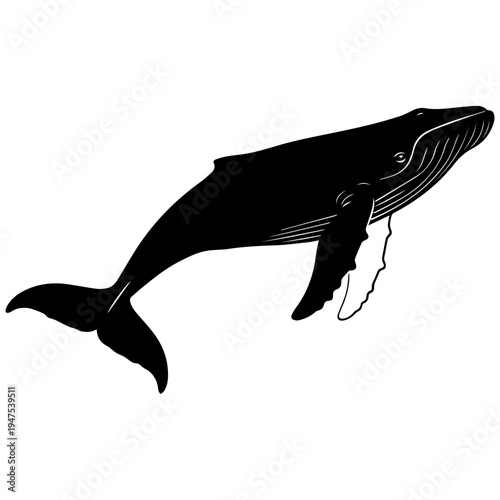 Black and white whale silhouette jumping ocean minimalist logo design vector