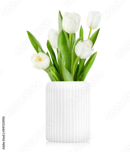 White tulips in a white vase on a white isolated background