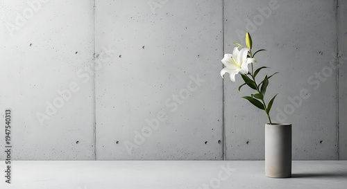 A single elegant white lily flower in a minimalist cylindrical vase against a stark concrete wall, creating a serene and modern aesthetic.