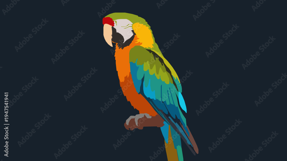Fototapeta premium Colorful Tropical Parrot Illustration