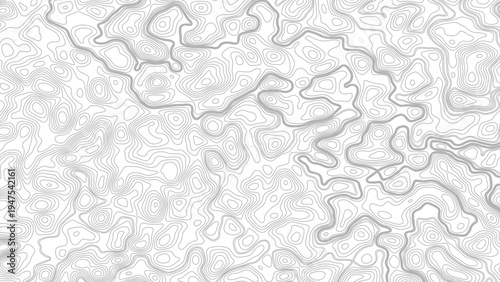 Topography background. Vector banner. Topographic map abstract height lines on white background ,vector

