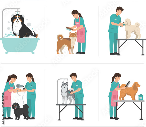 Set of professional dog grooming services with pets bathing blow drying and brushing in flat vector illustration
