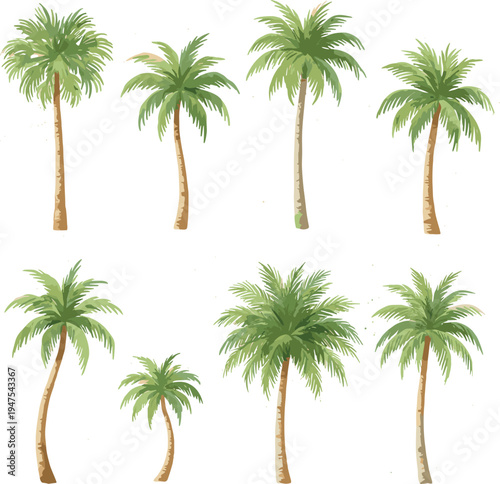 Set of various tropical palm tree designs isolated on white background for beach and summer travel themes