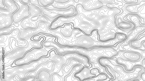 Topography background. Vector banner. Topography map background. Vector geographic contour map. Background of the topographic map.