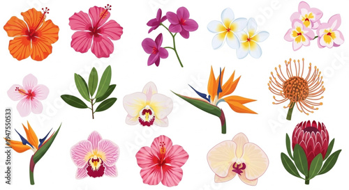 Vibrant Collection of Exotic Tropical Flowers and Tropical Foliage