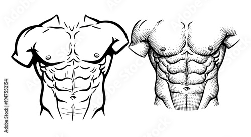 Detailed Line Art Illustrations of a Muscular Male Torso and Abs