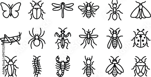 A collection of various insects and arachnids in a simple vector illustration style