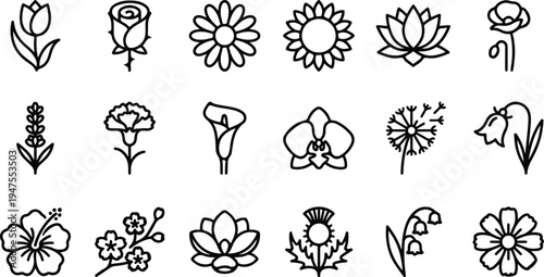 Various black line drawings of flowers on a white background, showcasing a collection of botanical vector graphic designs.
