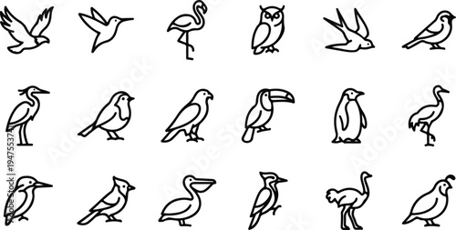 Various bird species illustrated in simple black and white vector graphics for design and educational purposes easily