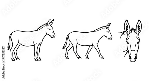 Line Art Collection of Donkeys in Various Poses