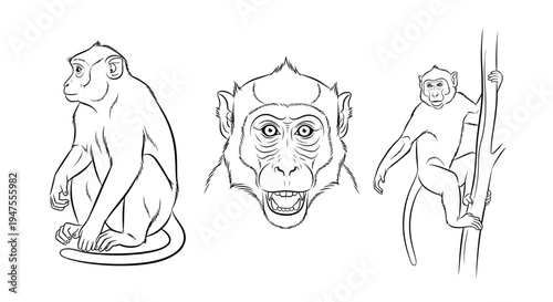 Line Art Monkey Set Side Face and Climbing