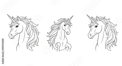 Elegant Outlined Unicorn Head Silhouette Collection