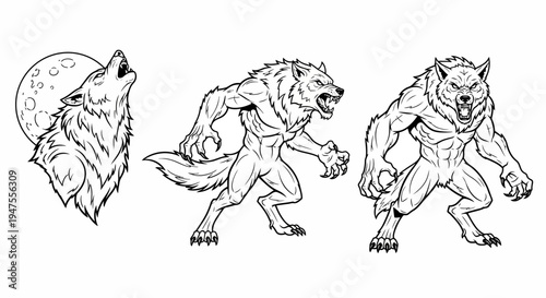 Line Art Series of Wolves and Werewolf Transformations