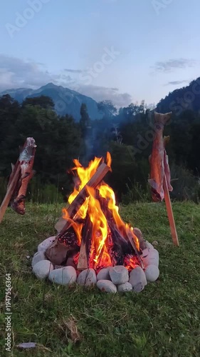 Patagonia National Park in Chile