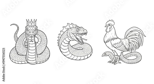 Snake King Dragon Snake and Rooster Line Art